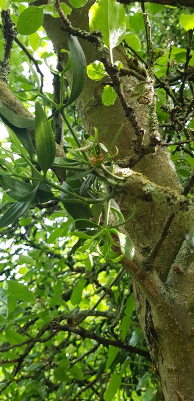 Annexe interaction2.jpg