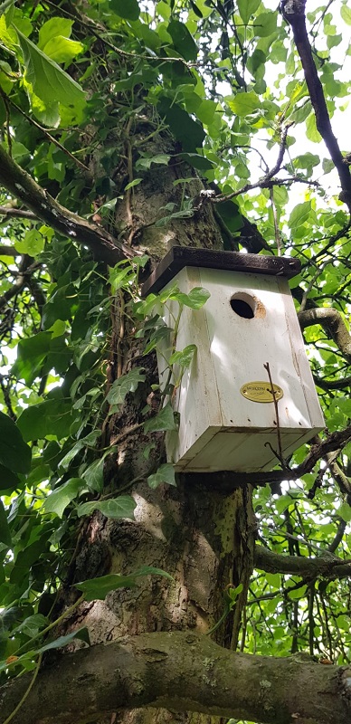 Annexe interaction3.jpg