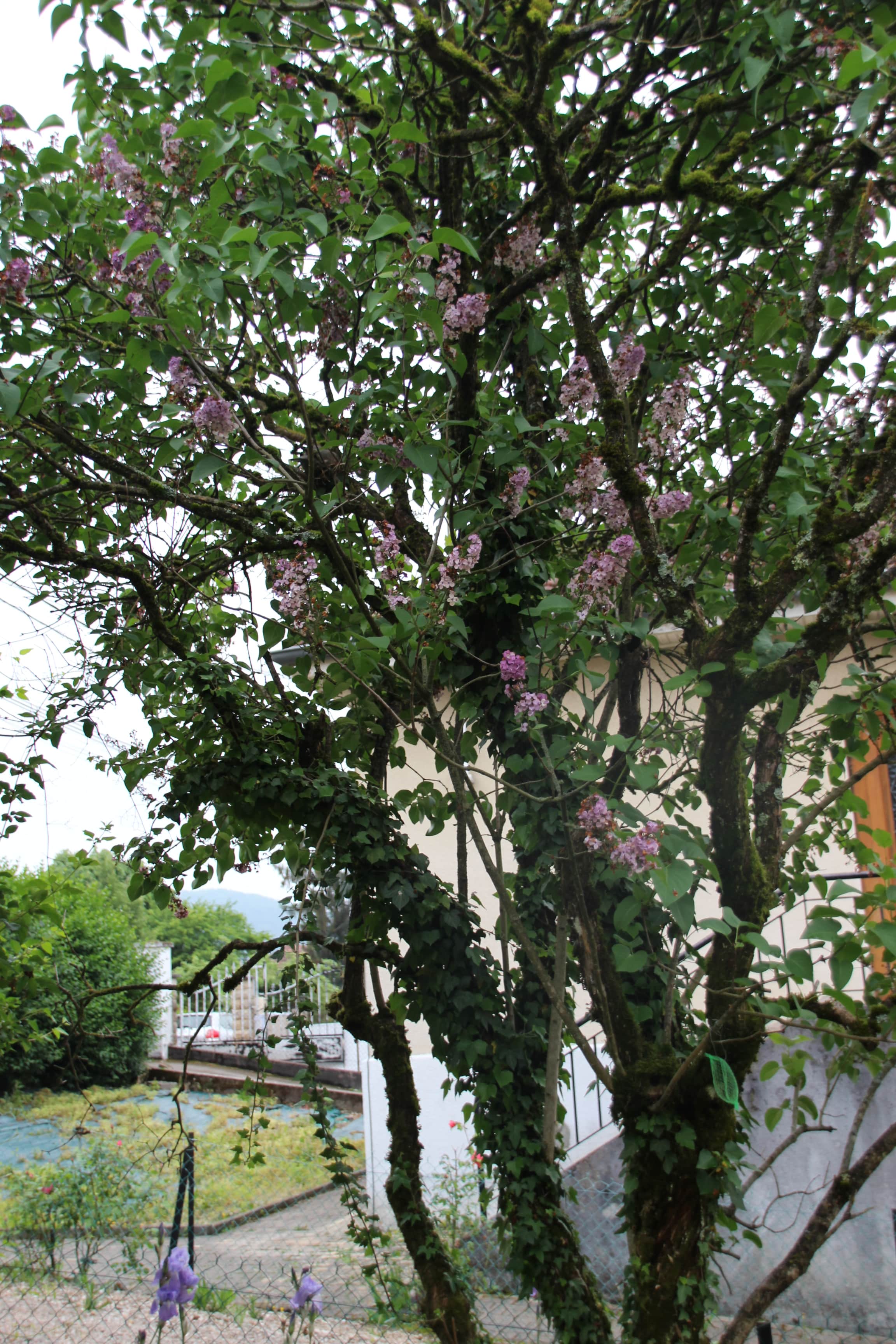 Annexe IMG_6220-min.JPG