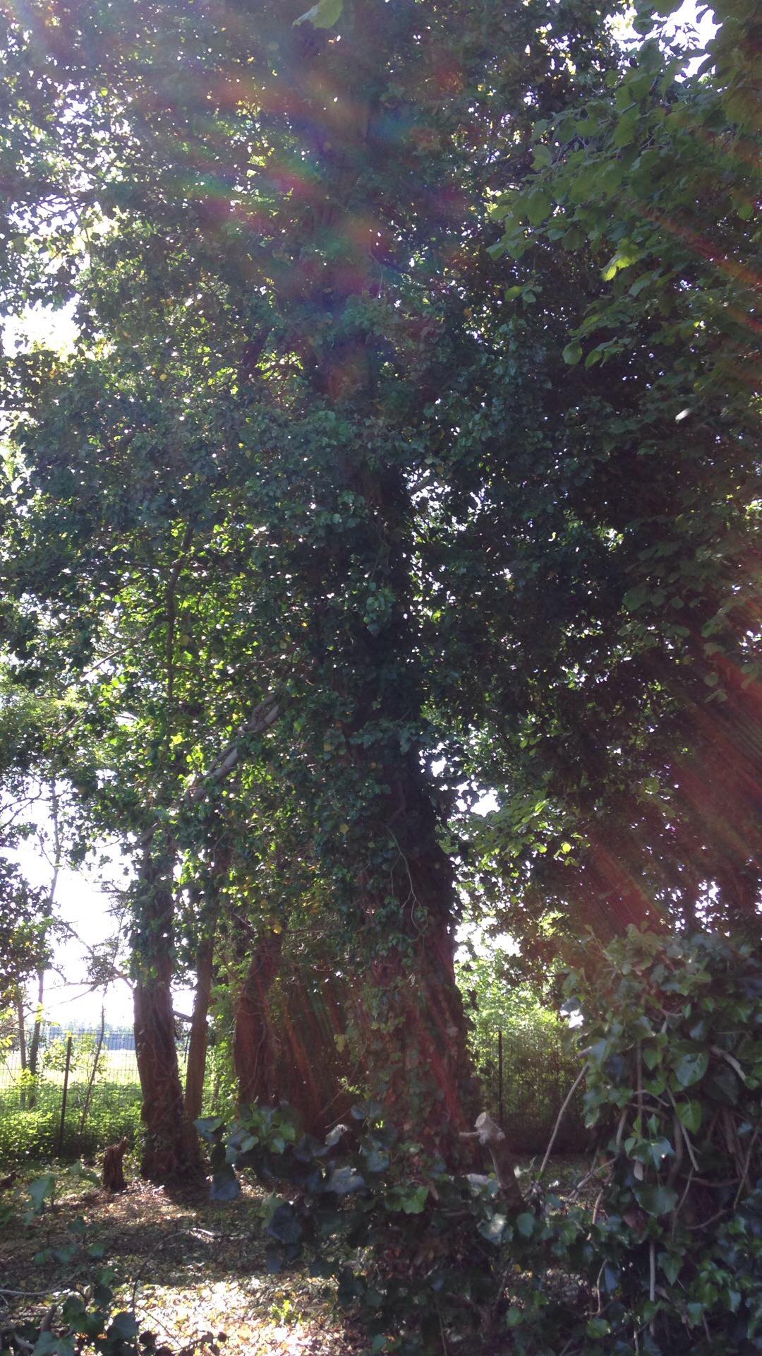 Annexe 95666469_676871799776567_8121554161964679168_n.jpg