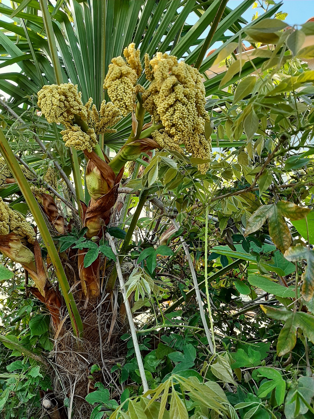 Annexe INTERACTION.jpg