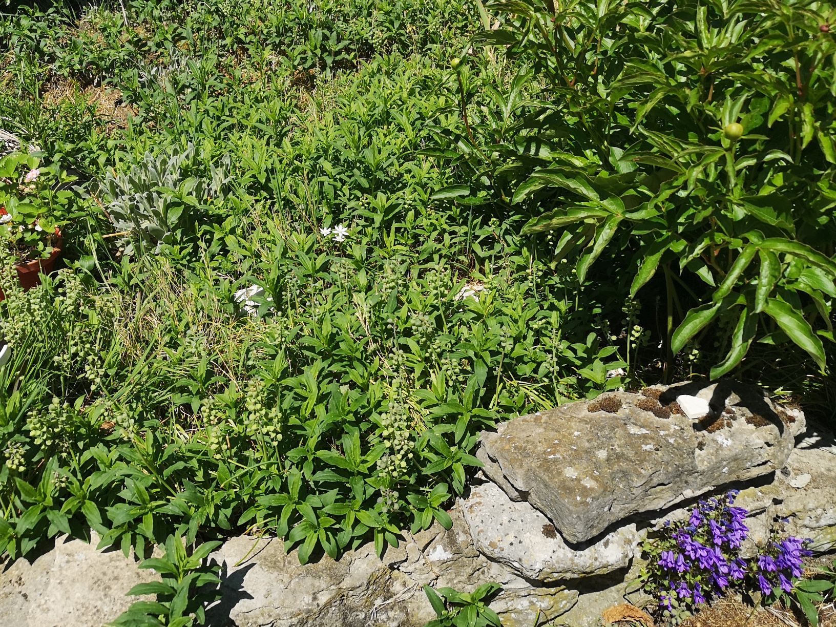 Annexe interactions 1.jpg