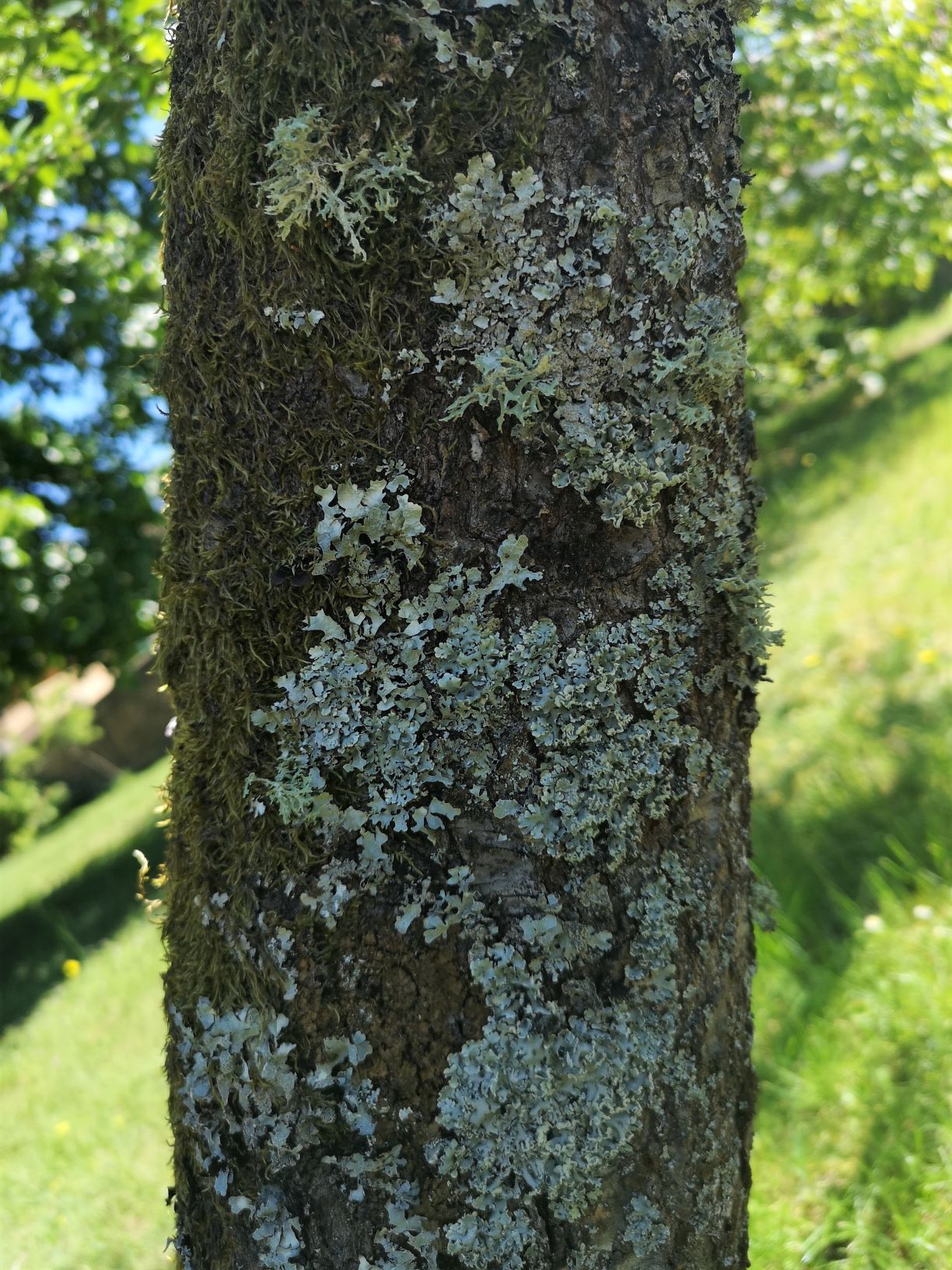 Annexe interactions 2.jpg