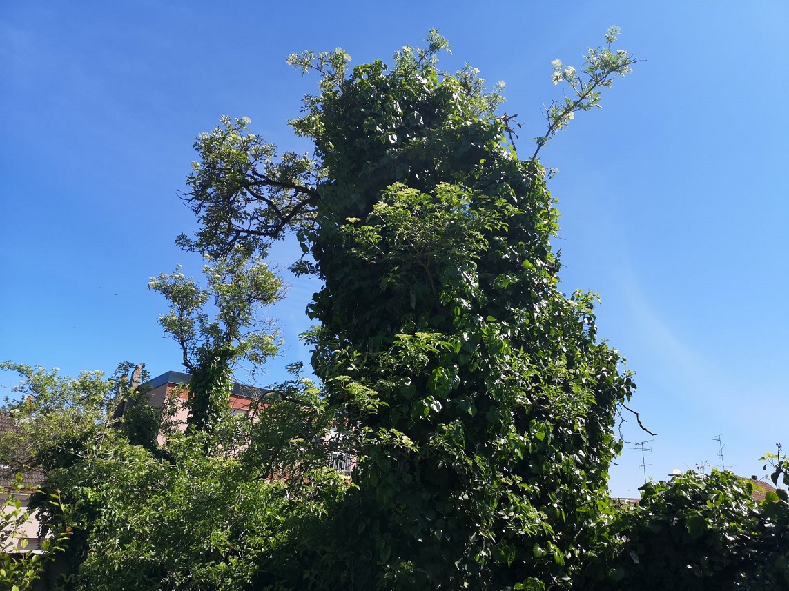 Annexe interactions 3.jpg