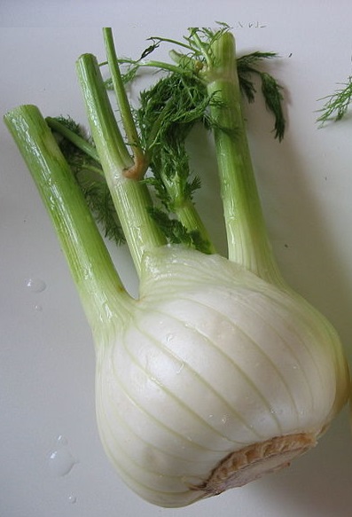 Annexe 800px-Fenouil.jpg