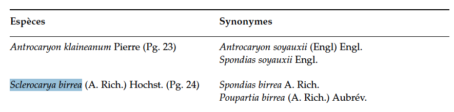 Annexe Sclerocardya birrea.png
