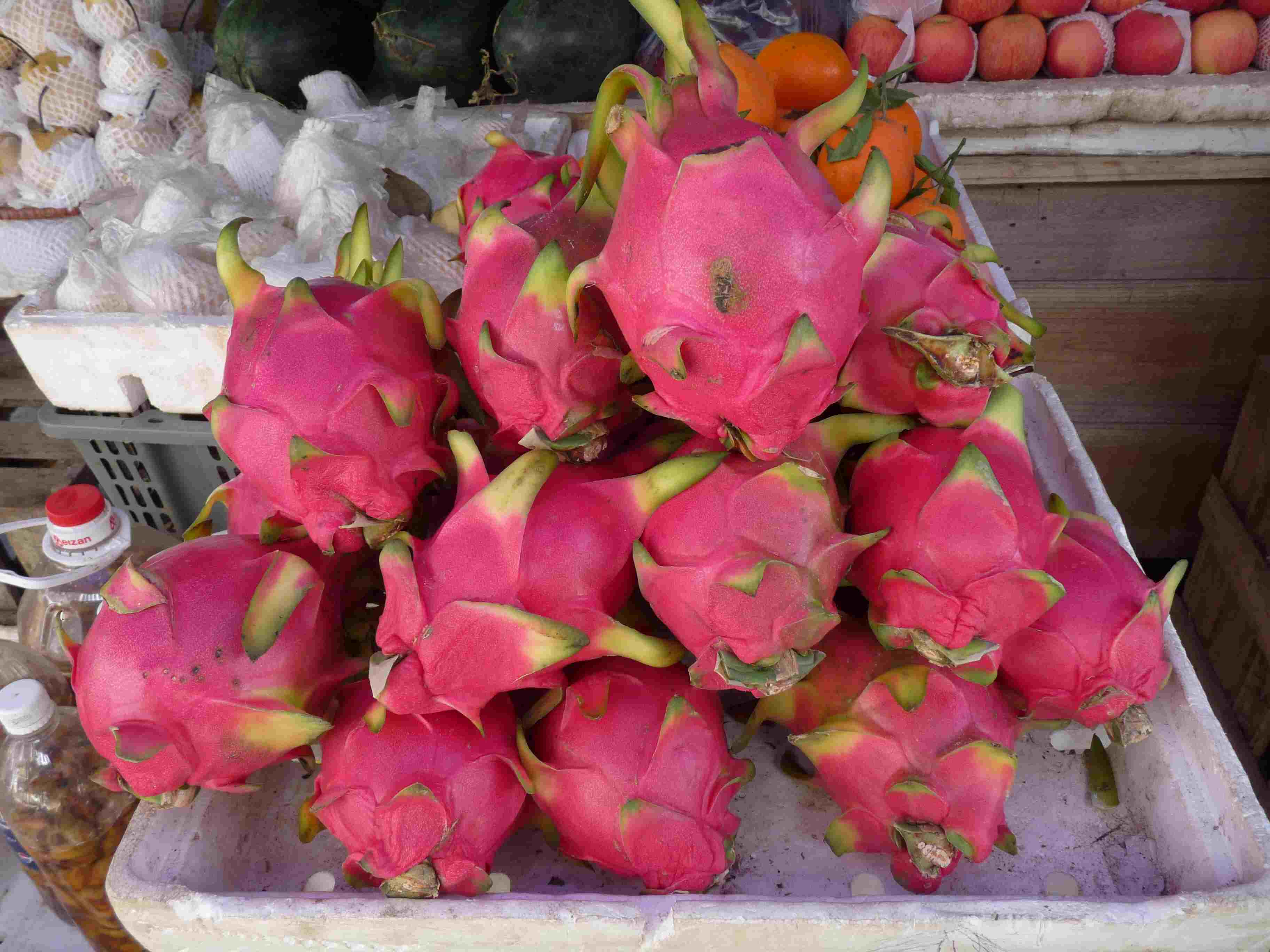 Annexe Photo 163_1.jpg