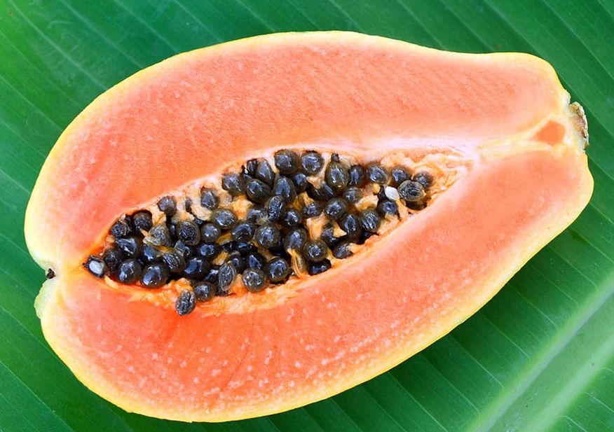 Annexe papaye-papaya-carita-tahiti-heritage.jpg