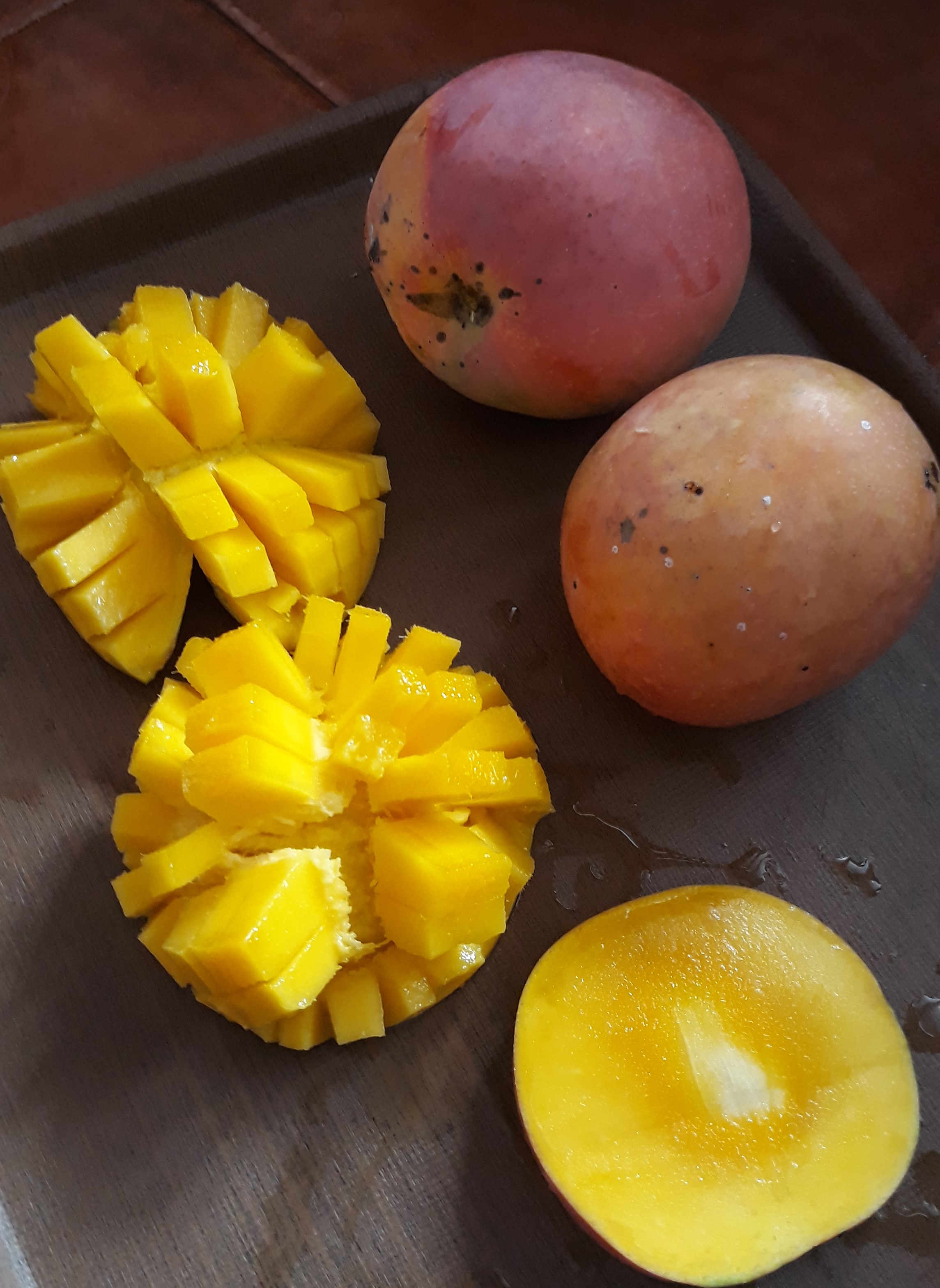 Annexe 20191003_131232.jpg