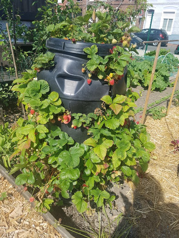 Annexe 20190601_105420.jpg