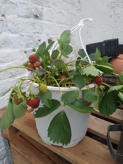 Annexe 20190609_211835.jpg