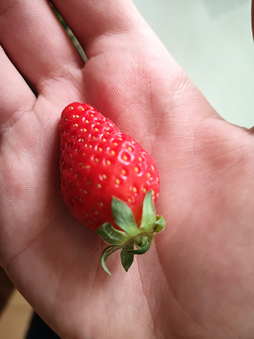 Annexe IMG_20200422_110019.jpg