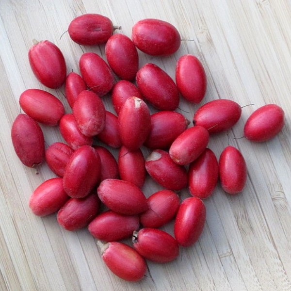 Annexe httpwww.leral.netphotoartdefault10540244-17318880.jpg?v=1478560861