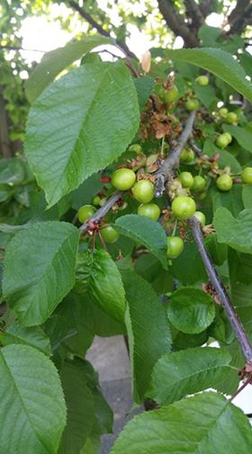 Annexe 94707590_433338740865383_1272989432785403904_n.jpg