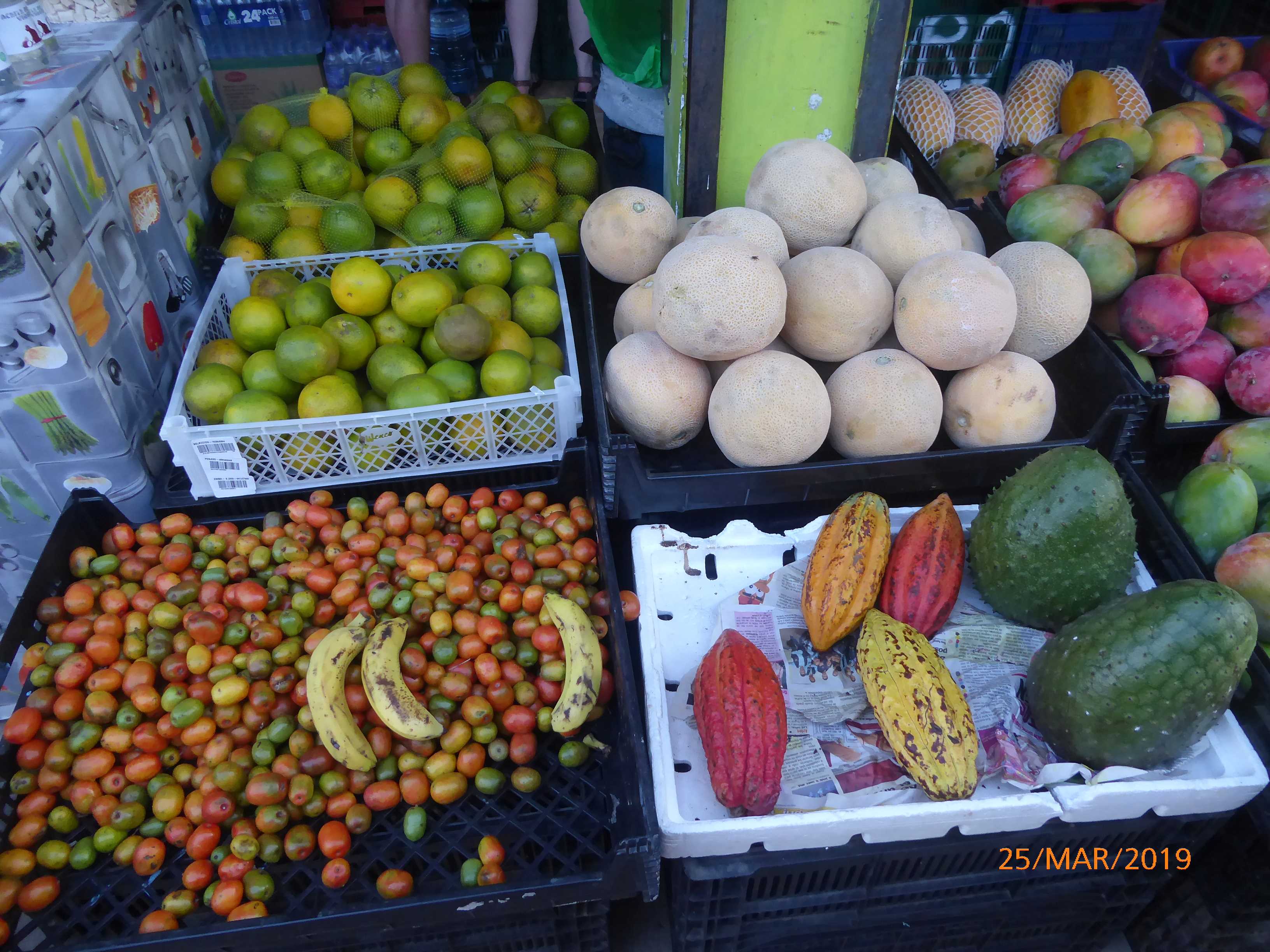 Annexe P1011057-2.JPG