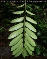 Annexe 15877562997941191955948946537461.jpg