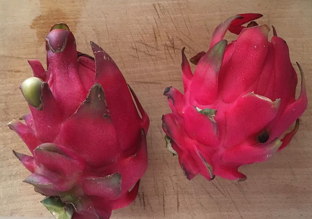 Annexe 1024px-Pitaya_rouge.jpg