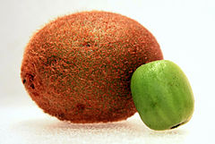 Annexe Hardy-Kiwi-Comparison.jpg