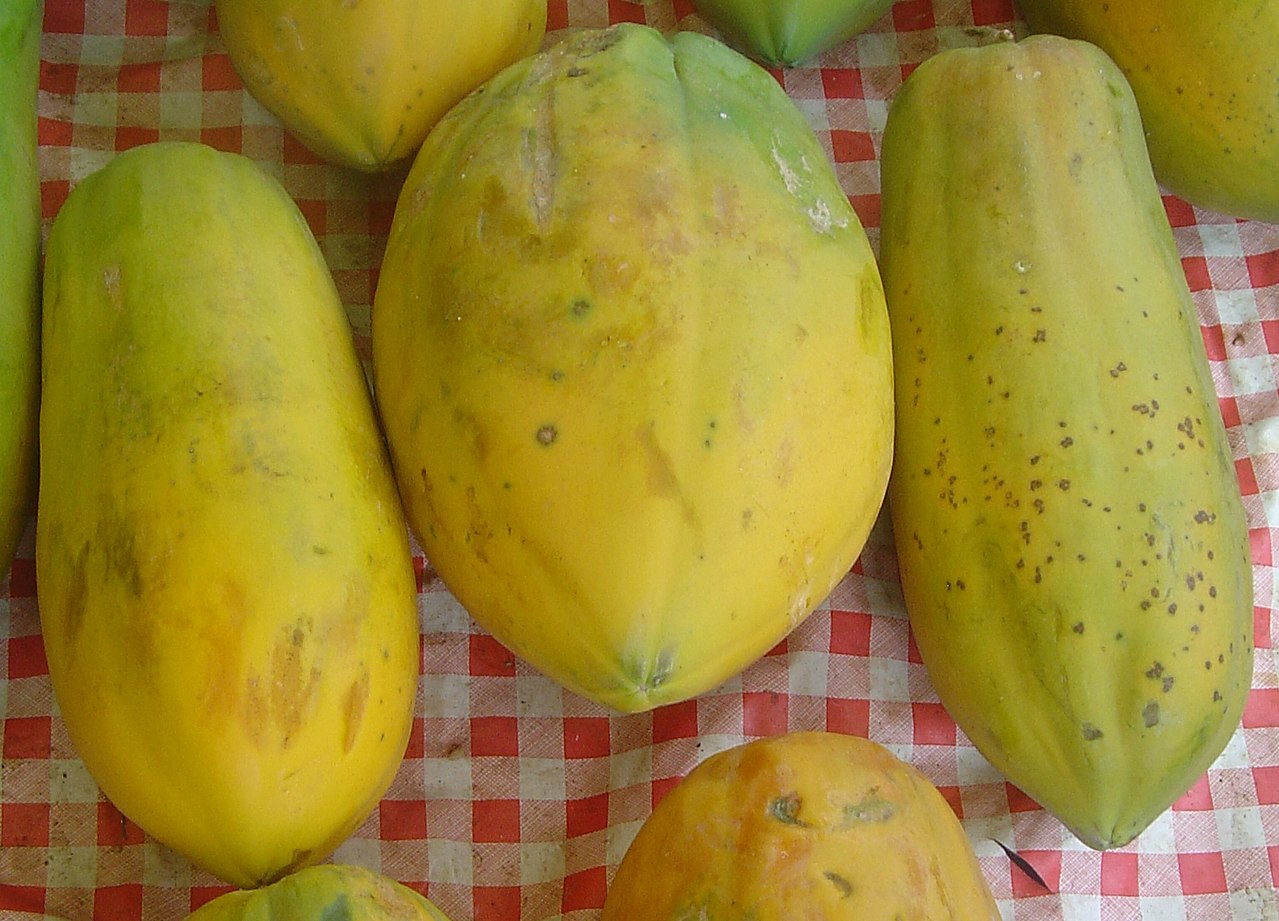 Annexe 1280px-Carica_papaya_dsc07806.jpg