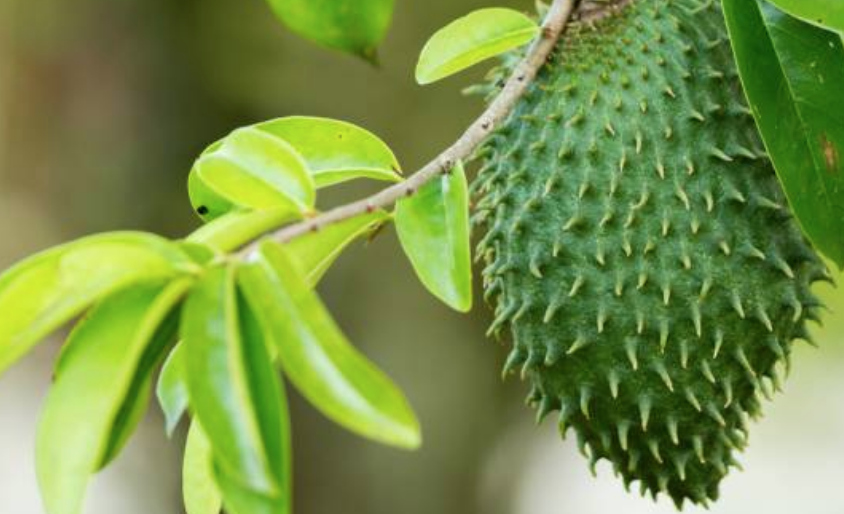 Annexe Capture d’écran 2020-05-03 à 18.40.26.png