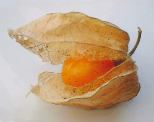 Annexe Capture d’écran 2020-05-04 à 16.00.23.png