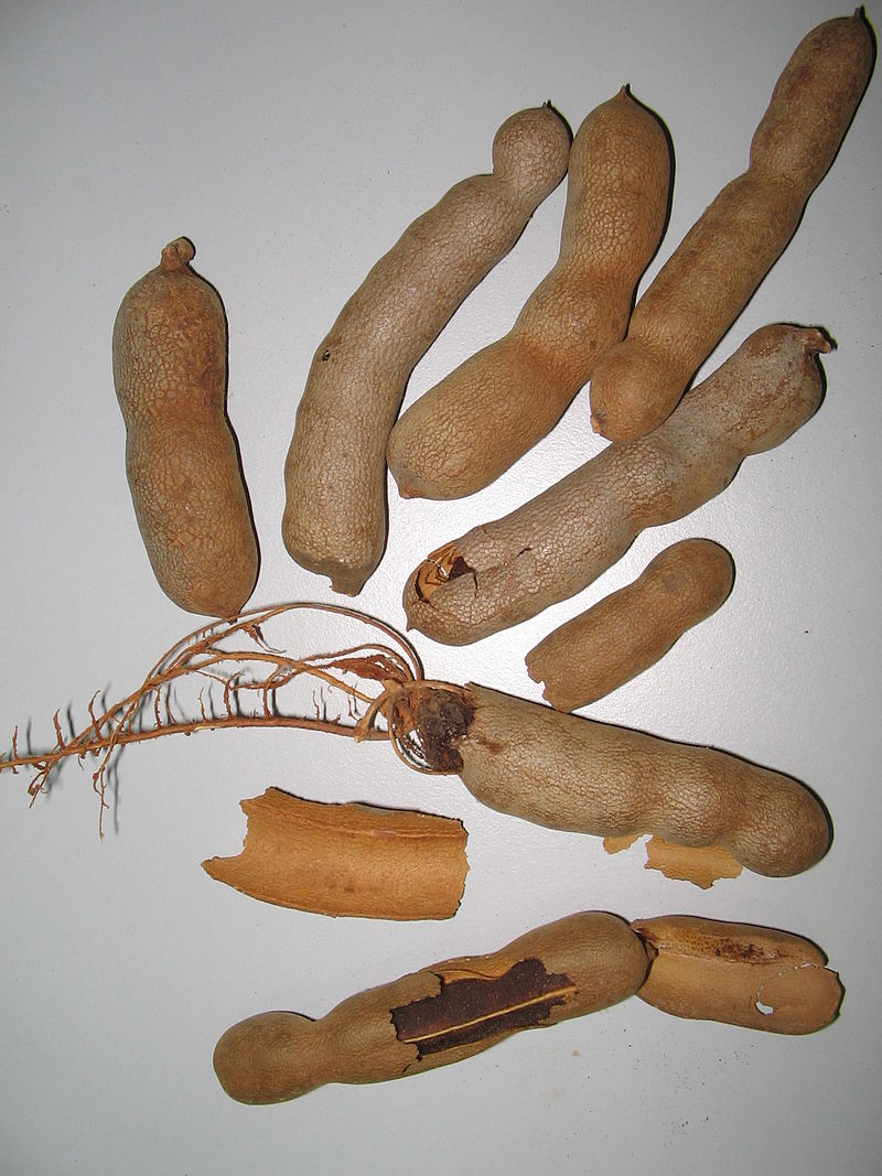 Annexe YosriBuahAsamJawa.jpg