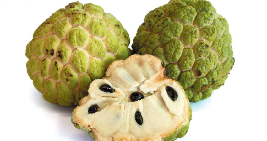 Annexe pomme-canelle-850x450.jpg