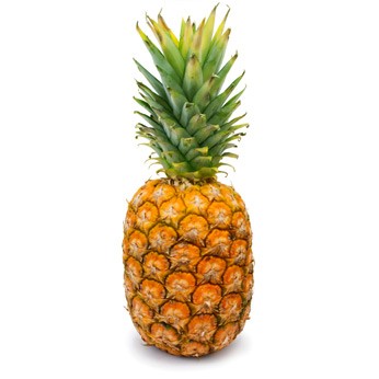Annexe ananas_346_346_filled.jpg