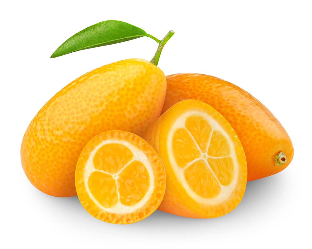 Annexe 3.-Le-Kumquat.jpg