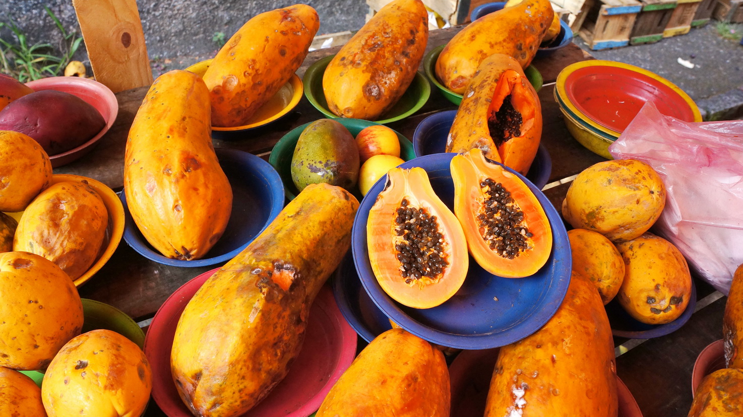 Annexe Papayes.JPG
