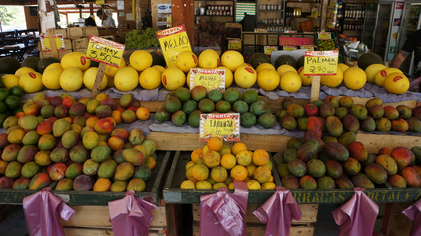 Annexe Fruits Brésil.JPG