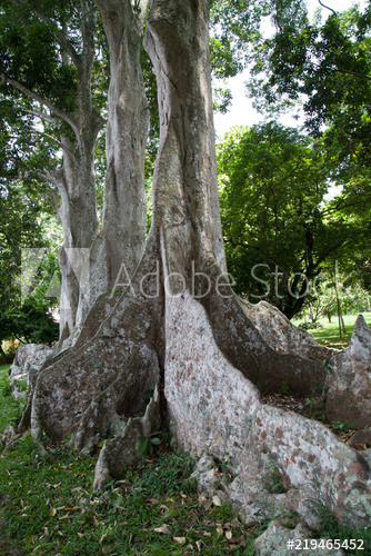 Annexe 500_F_219465452_k4DUflzRgqttEGX9cheaJB4JtFGcRuk2.jpg