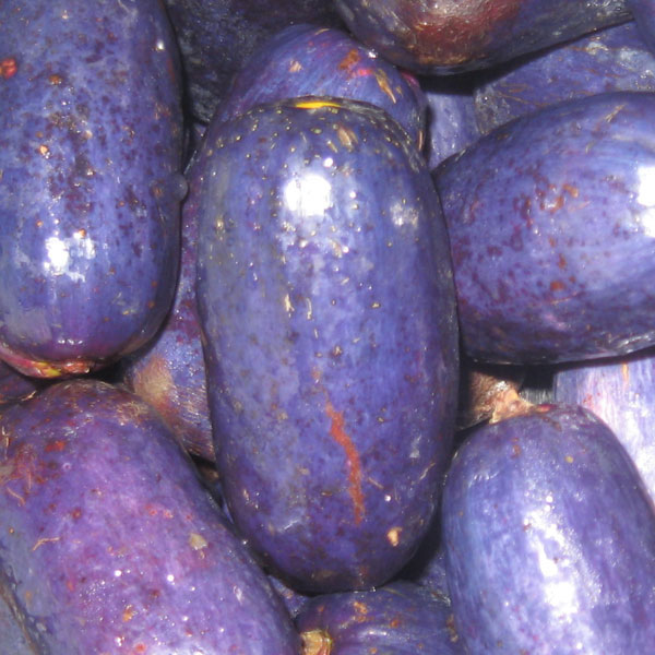 Annexe Safou - fruit du Cameroun.jpg