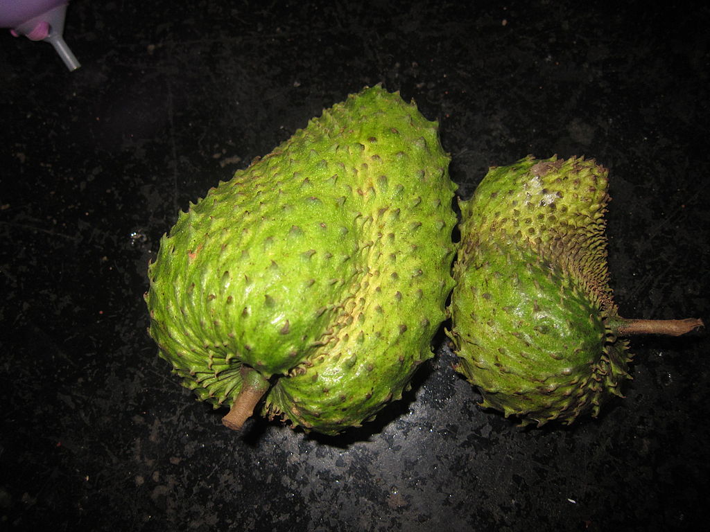 Annexe corossole.JPG