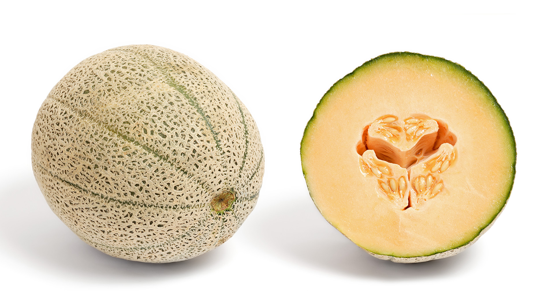 melon