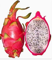 pitaya