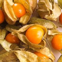 coqueret du Pérou ou physallis comestible