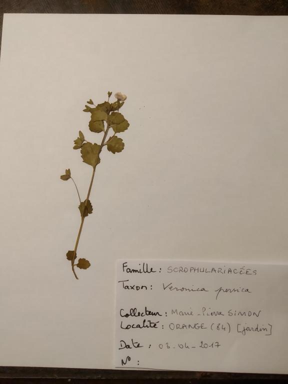 Annexe mini_IMG_20200416_195711.jpg