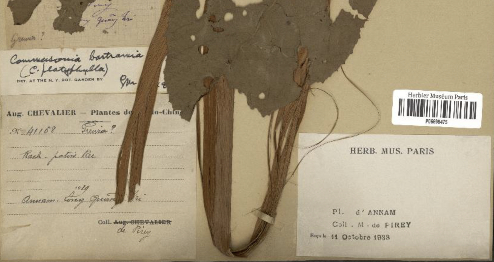 Annexe Capture d’écran 2020-04-17 à 10.31.49 - copie.jpg