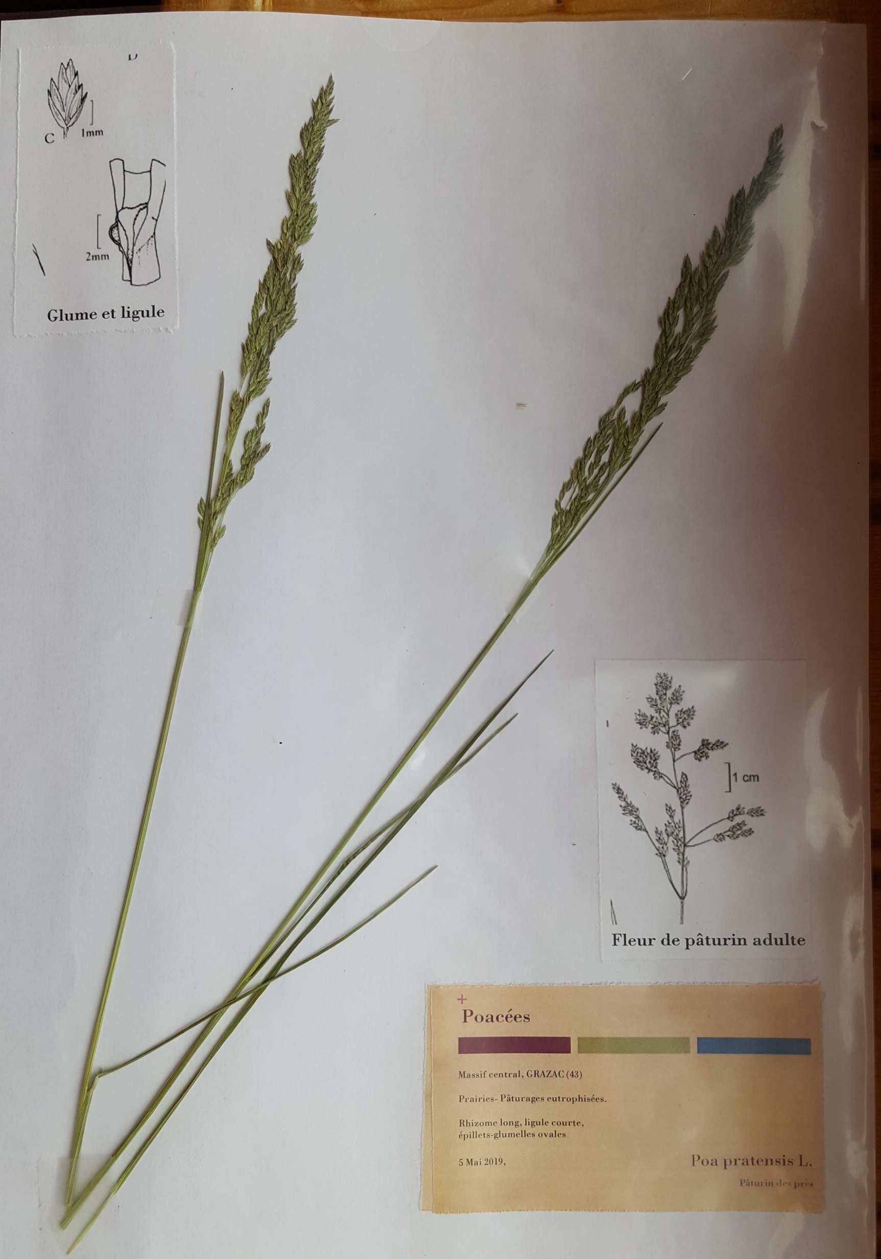 Annexe 20200417_154211.jpg