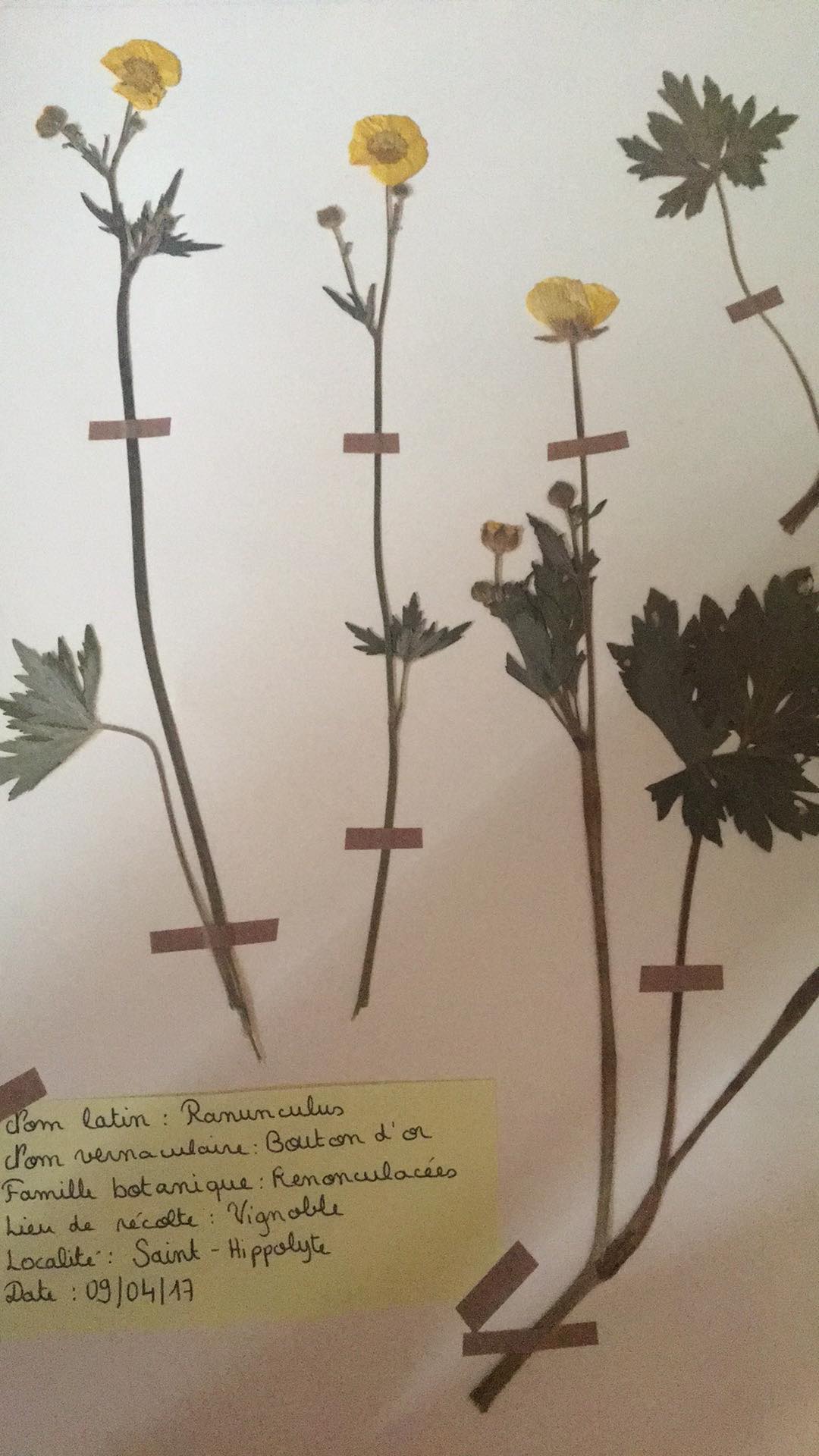 Annexe 93771847_318867905746178_6244060610686877696_n.jpg