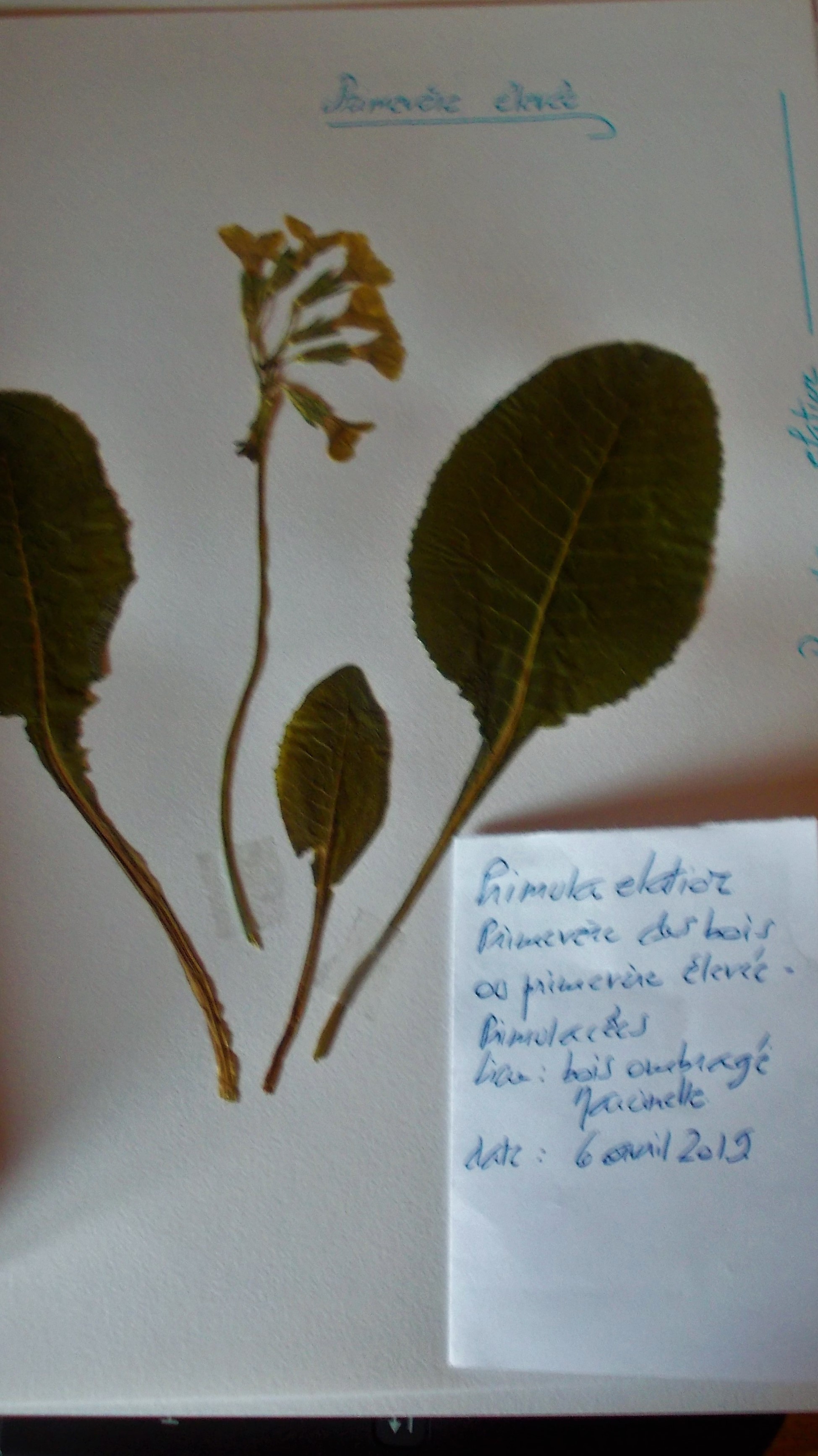 Annexe DSCN1409 (3).JPG