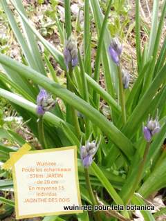 Annexe IMG_20200419_113517.jpg