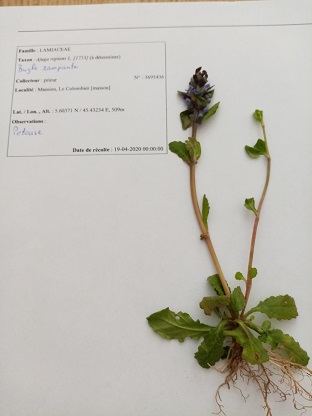 Annexe IMG_20200420_122848.jpg