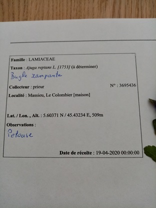 Annexe IMG_20200420_122904.jpg