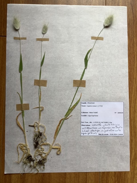 Annexe 37AD459E-67DF-4B8F-9707-D5FA45E247D3.jpeg