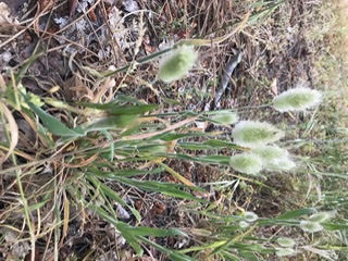 Annexe 4427C79A-78FC-4AE9-A505-A2777876C21F.jpeg