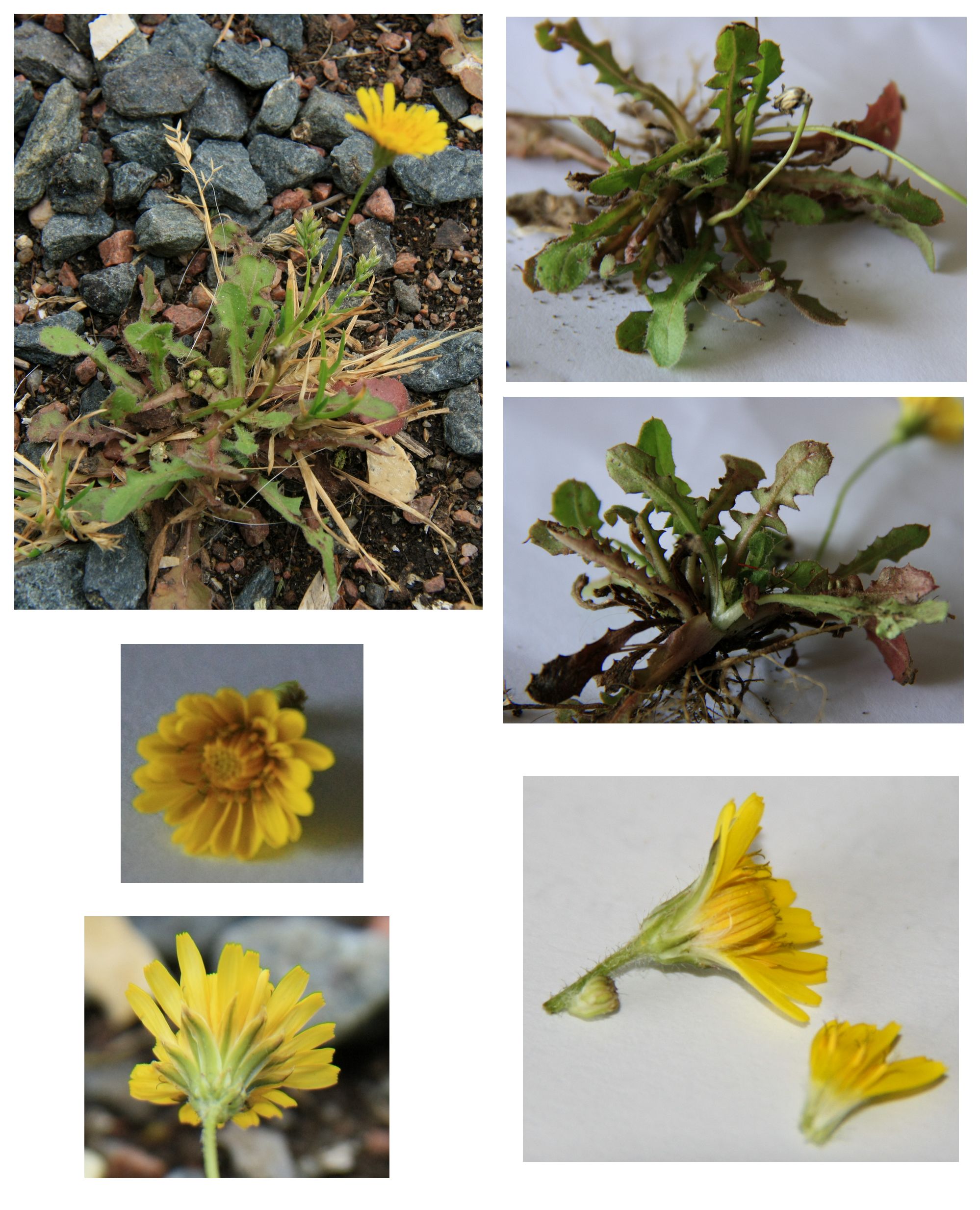 Annexe Sans titre 1-1mo.jpg