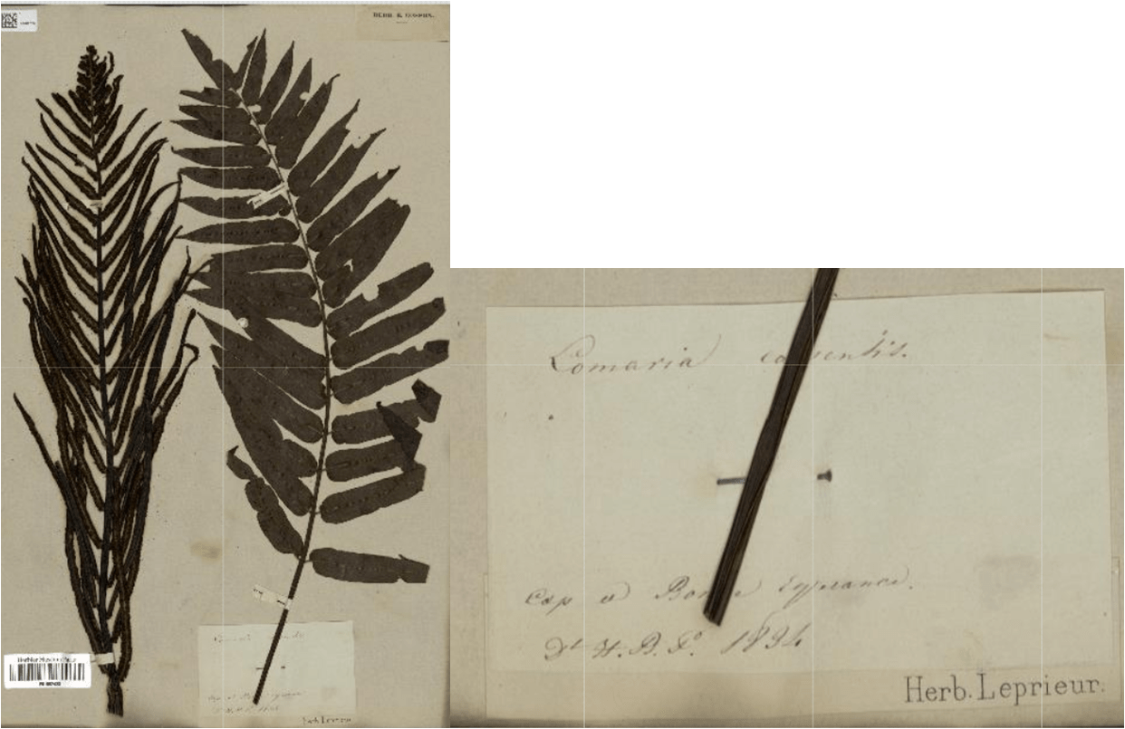 Annexe Image1-min.png