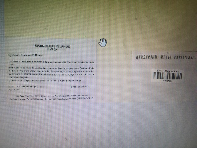 Annexe 93721131_215021426462526_3194716109215367168_n.jpg